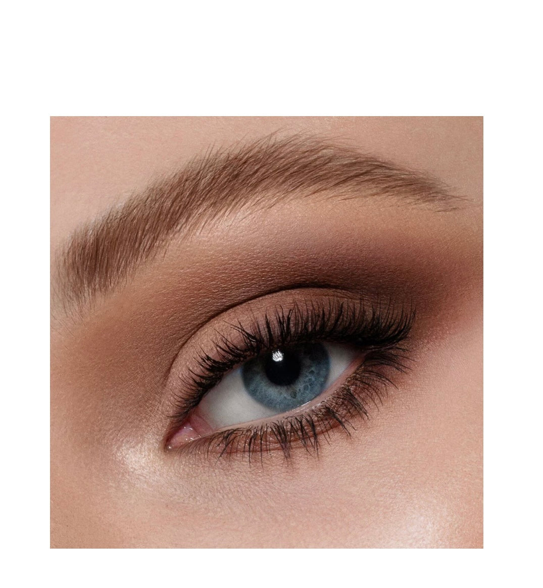 Master Mattes Palette