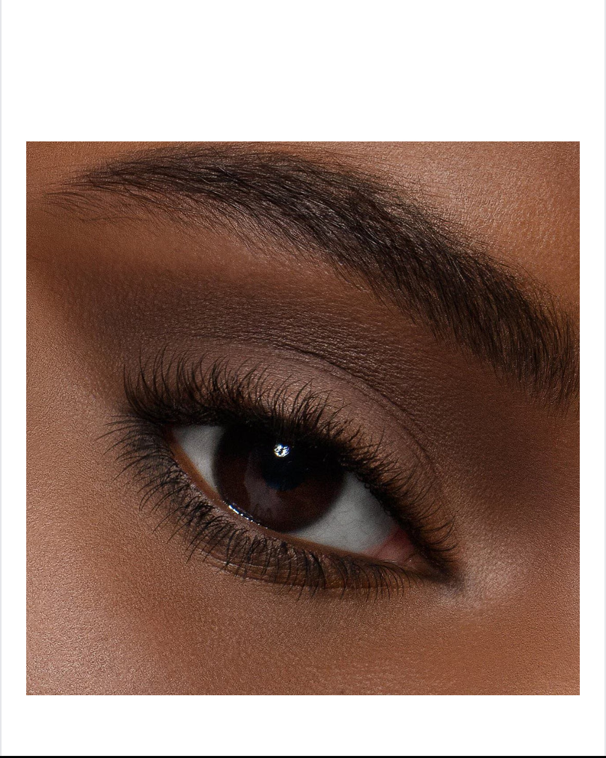 Master Mattes Palette